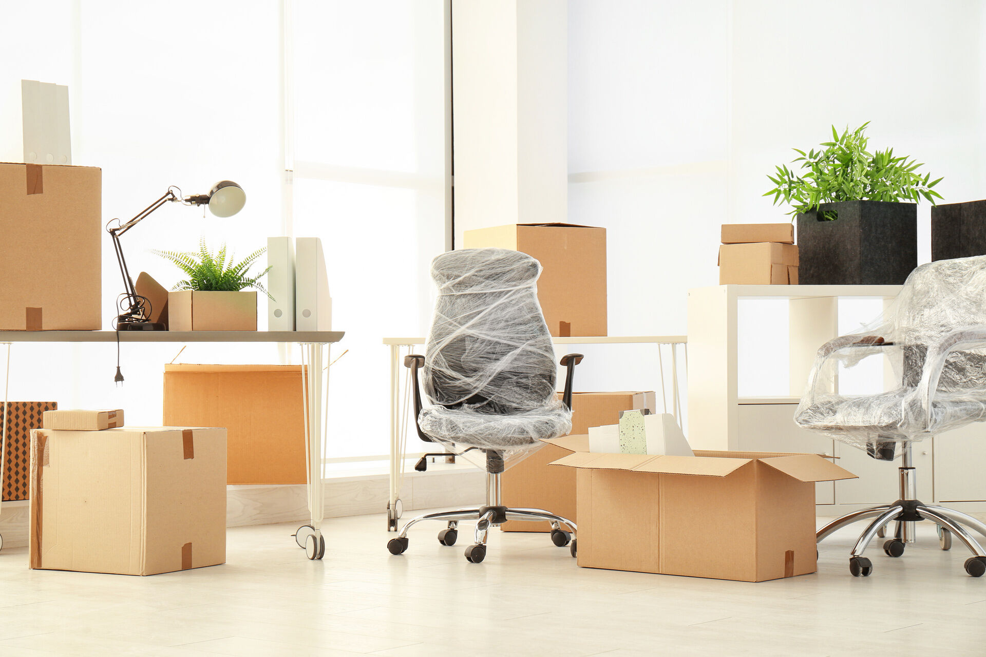 AdobeStock_200823242 (1)