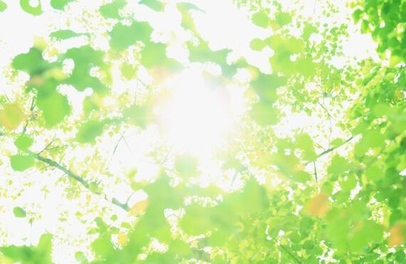 改めて「リサイクル」を理解しよう 自分でできること・プロにお願いすべきこと【藤沢での遺品整理・残置物撤去】